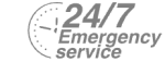 24/7 Emergency Service Pest Control in Downside, Cobham, Stoke d'Abernon, KT11. Call Now! 020 8166 9746