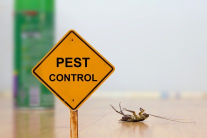 Pest Contol in Downside, Cobham, Stoke d'Abernon, KT11. Call Now 020 8166 9746